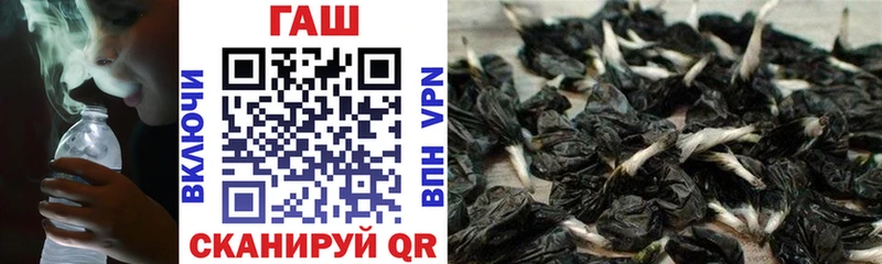 ГАШ ice o lator  shop официальный сайт  Елизово 