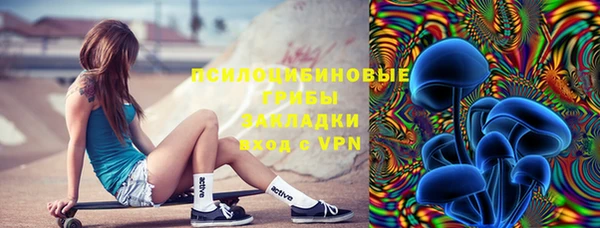 дурь Алексин