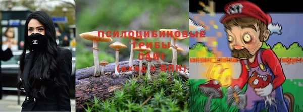 дурь Алексин