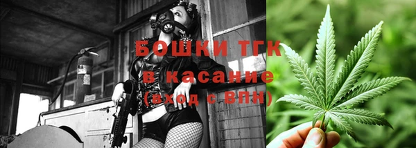 дурь Алексин