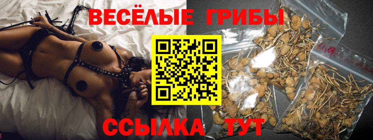 Елизово  Галлюциногенные грибы GOLDEN TEACHER  Вход с VPN  Псилоцибиновые грибы мицелий 